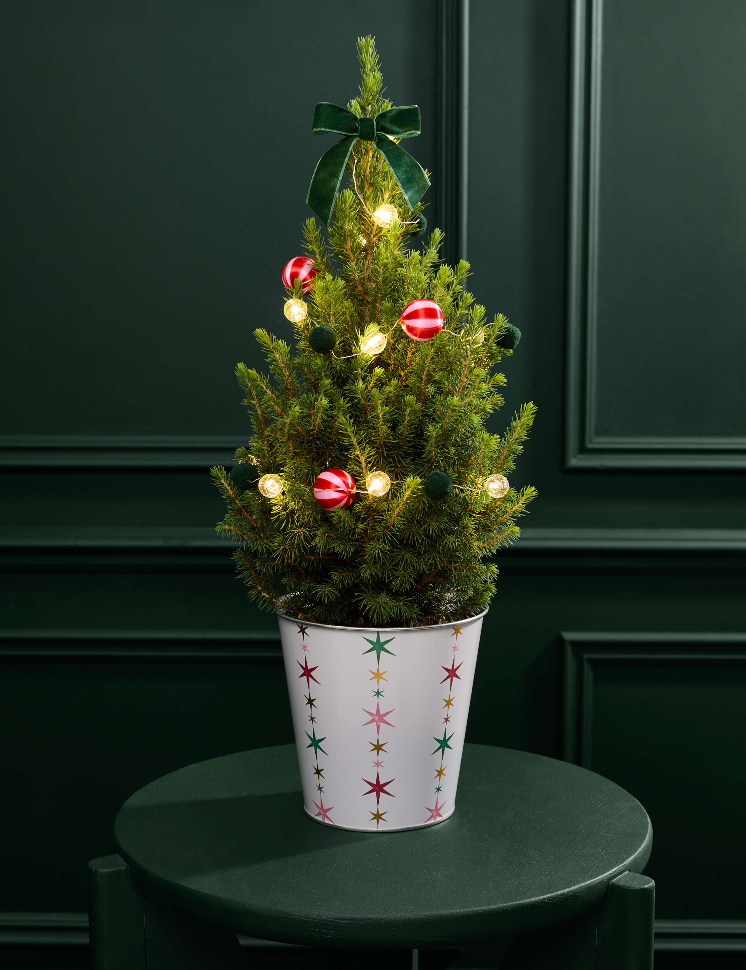 Mini Christmas Tree in Festive Star Pot & Merry Munch