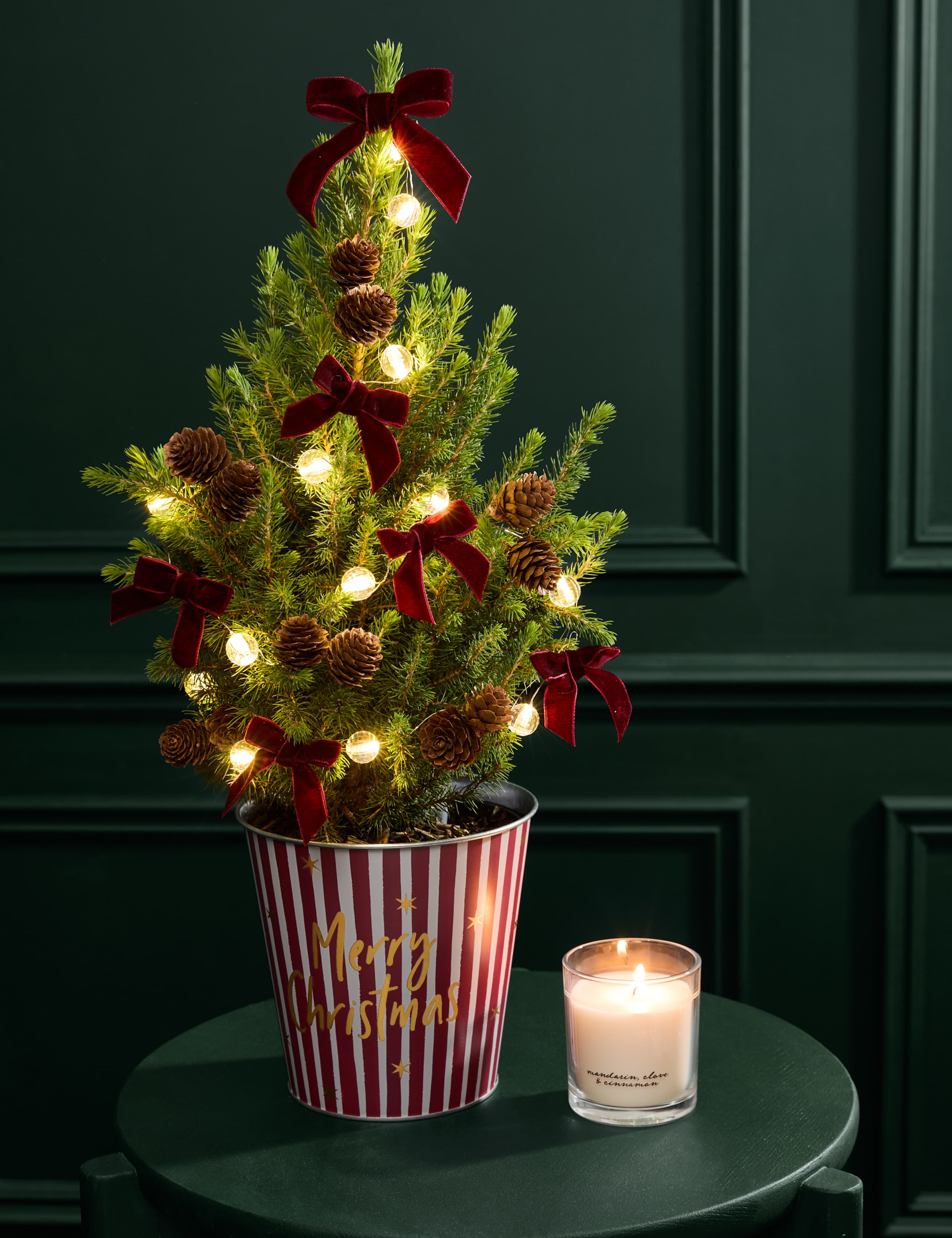 Mini Christmas Tree in Red Striped 'Merry Christmas' Pot with Candle