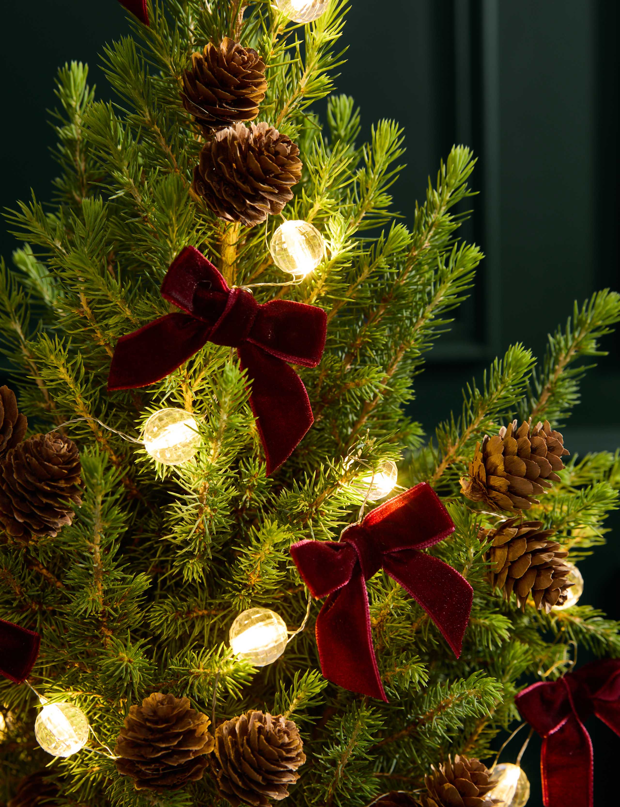 Mini Christmas Tree in Red Striped 'Merry Christmas' Pot with Candle