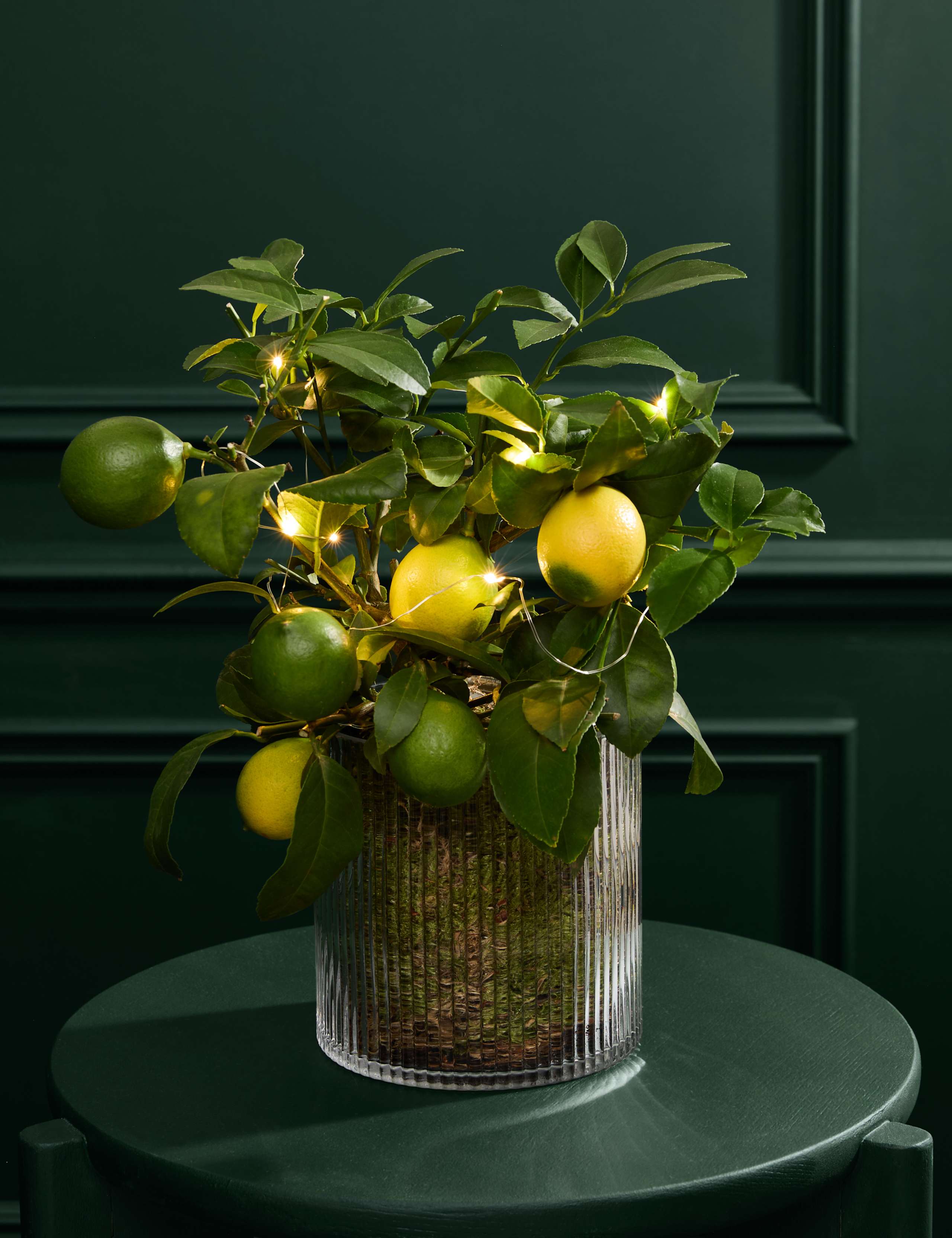 Festive Citrus Tree in Mercury Glass with Lights