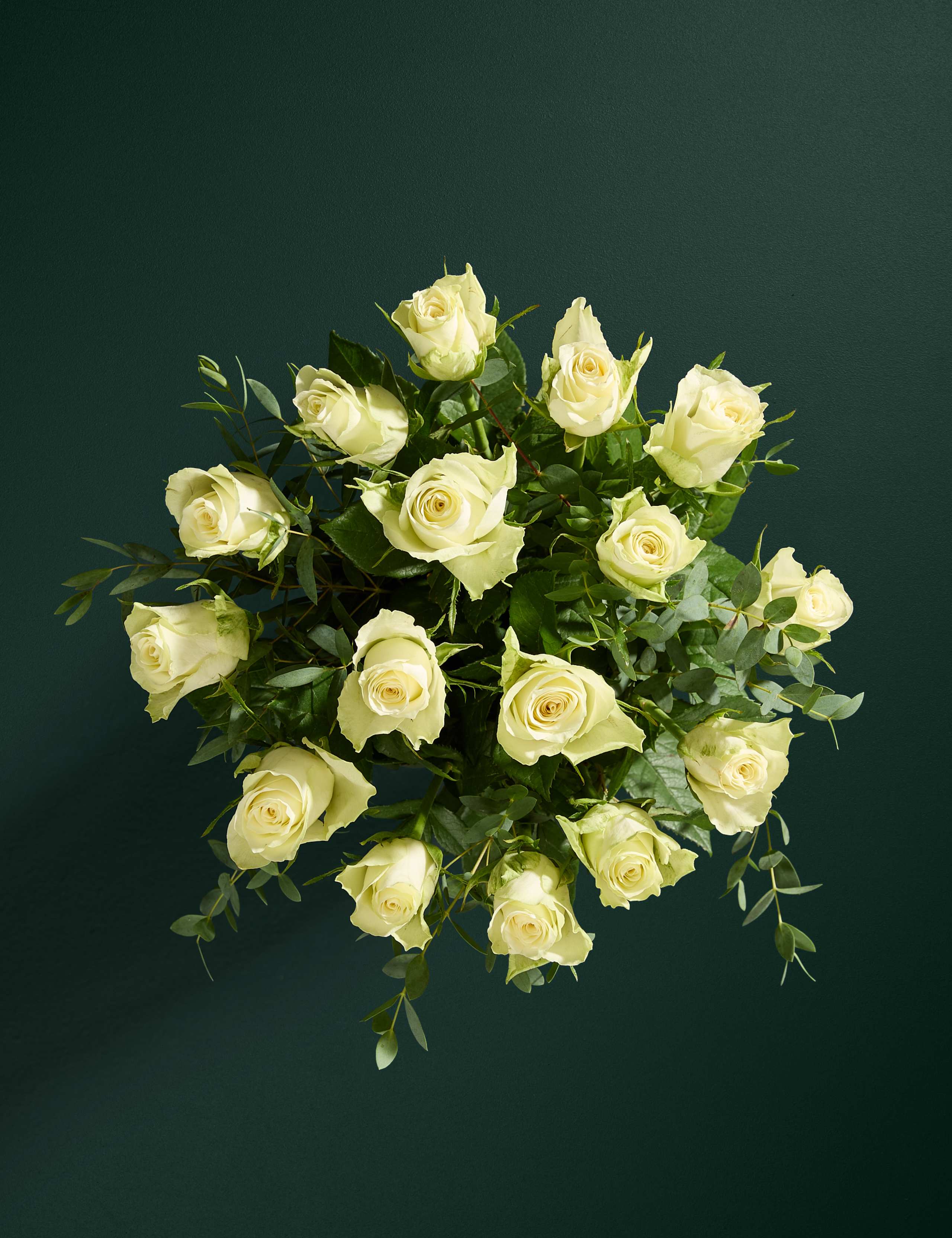White Rose & Eucalyptus Letterbox Flowers