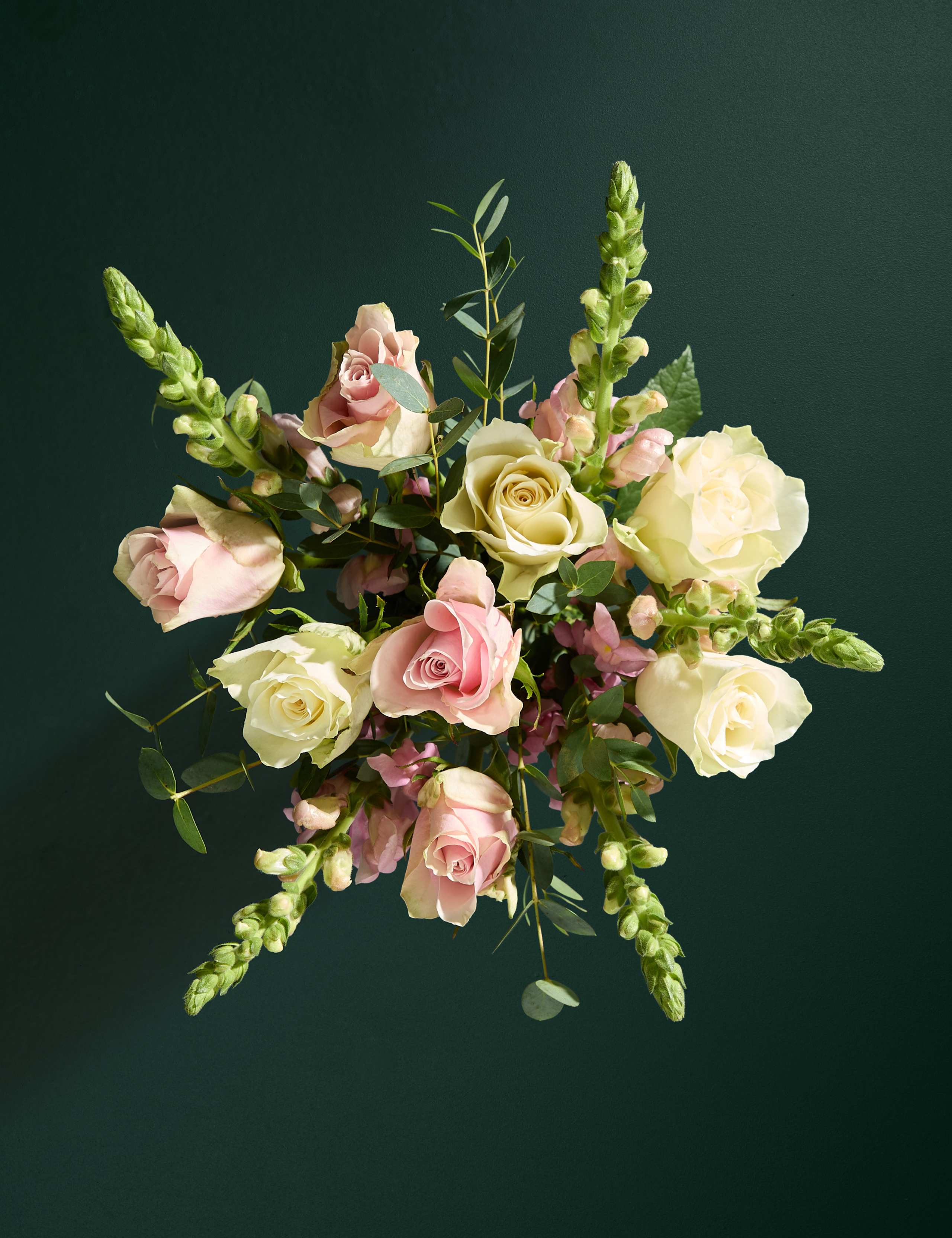 Blush Rose & Antirrhinum Letterbox Flowers
