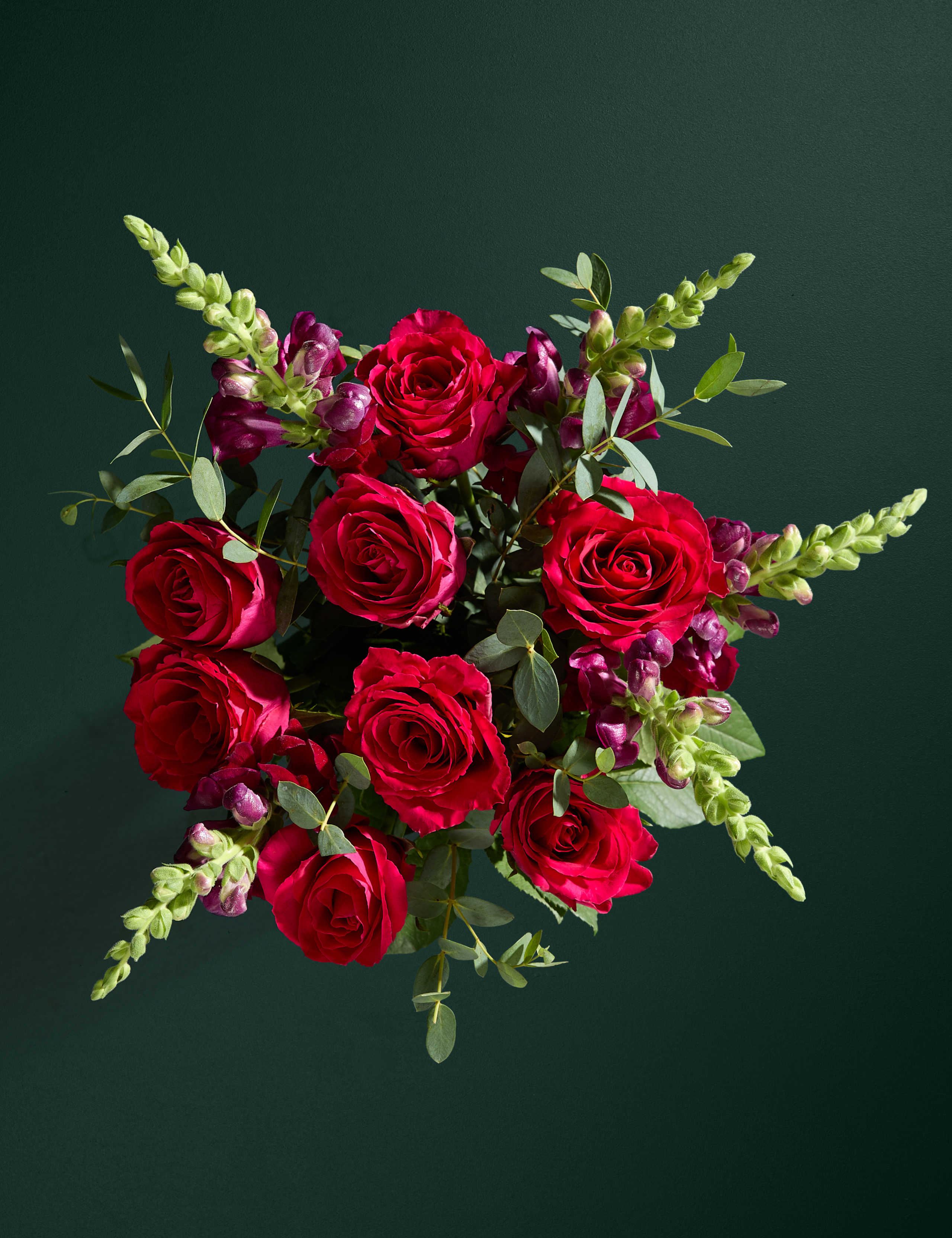 Vibrant Rose & Antirrhinum Letterbox Flowers