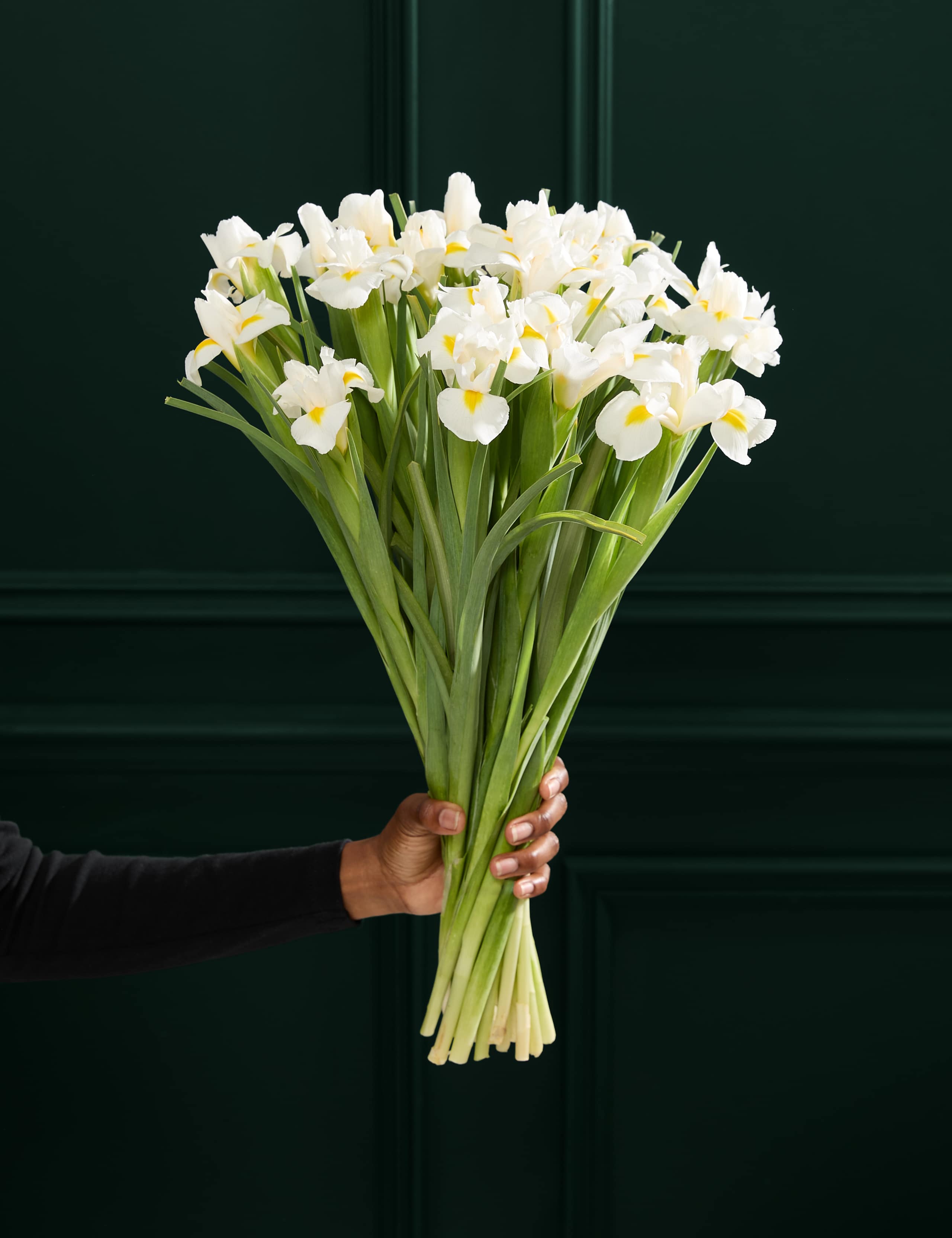 White Iris Letterbox Flowers
