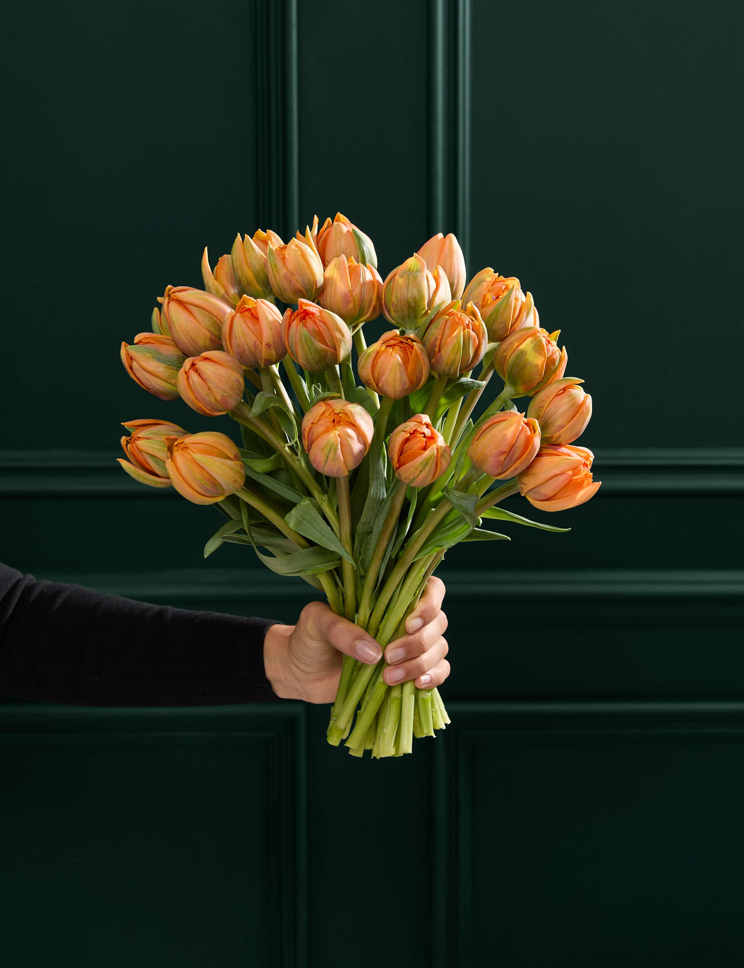 An Abundance of Speciality Tulips Bouquet
