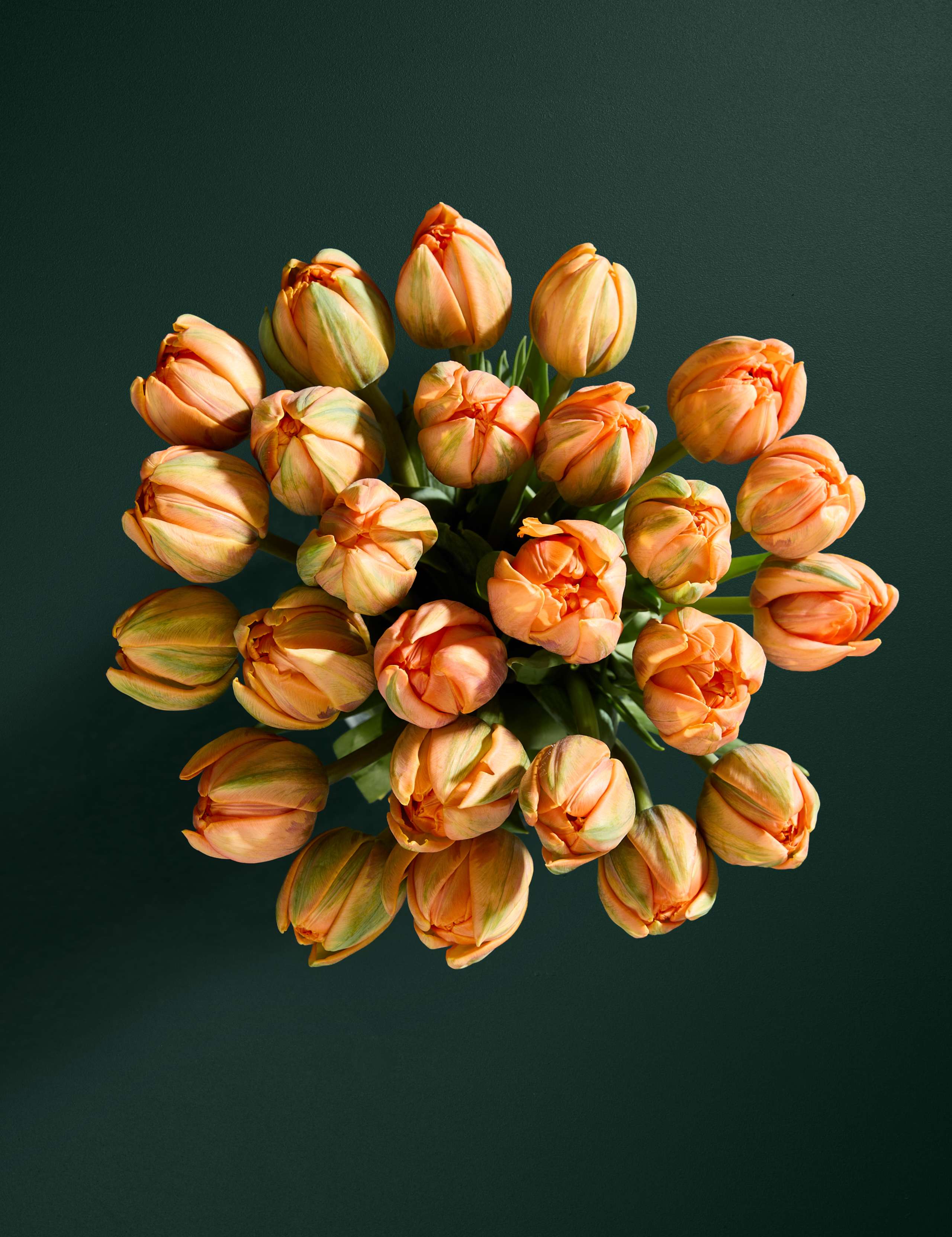 An Abundance of Speciality Tulips Bouquet