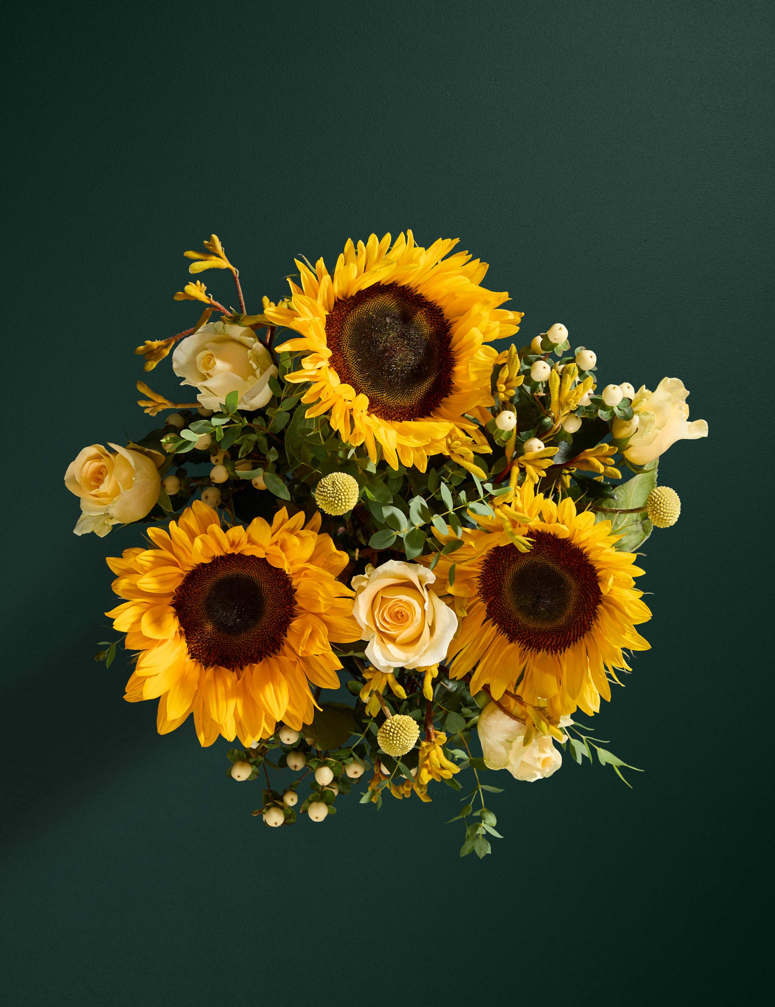 Sunflower & Kangaroo Paw Bouquet