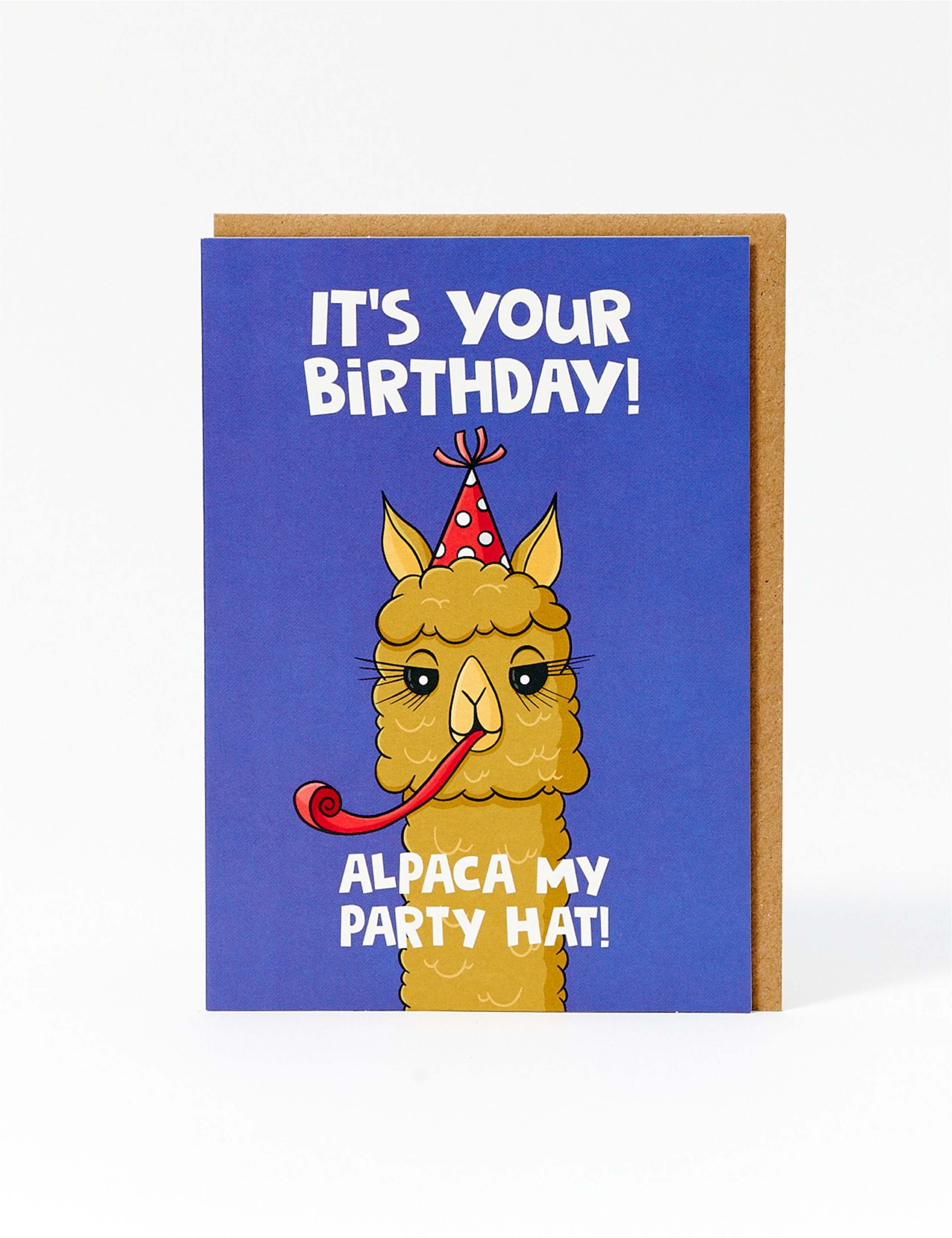 Alpaca My Party Hat Birthday Card
