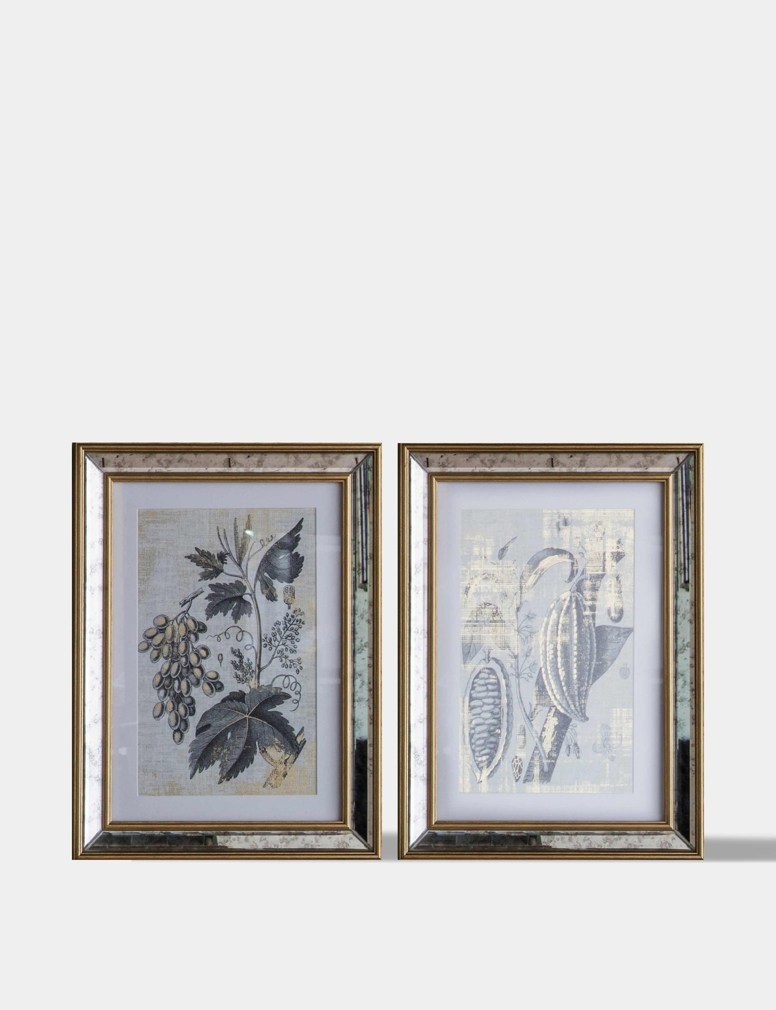 Set of 2 Braun Botanical Rectangle Framed Art