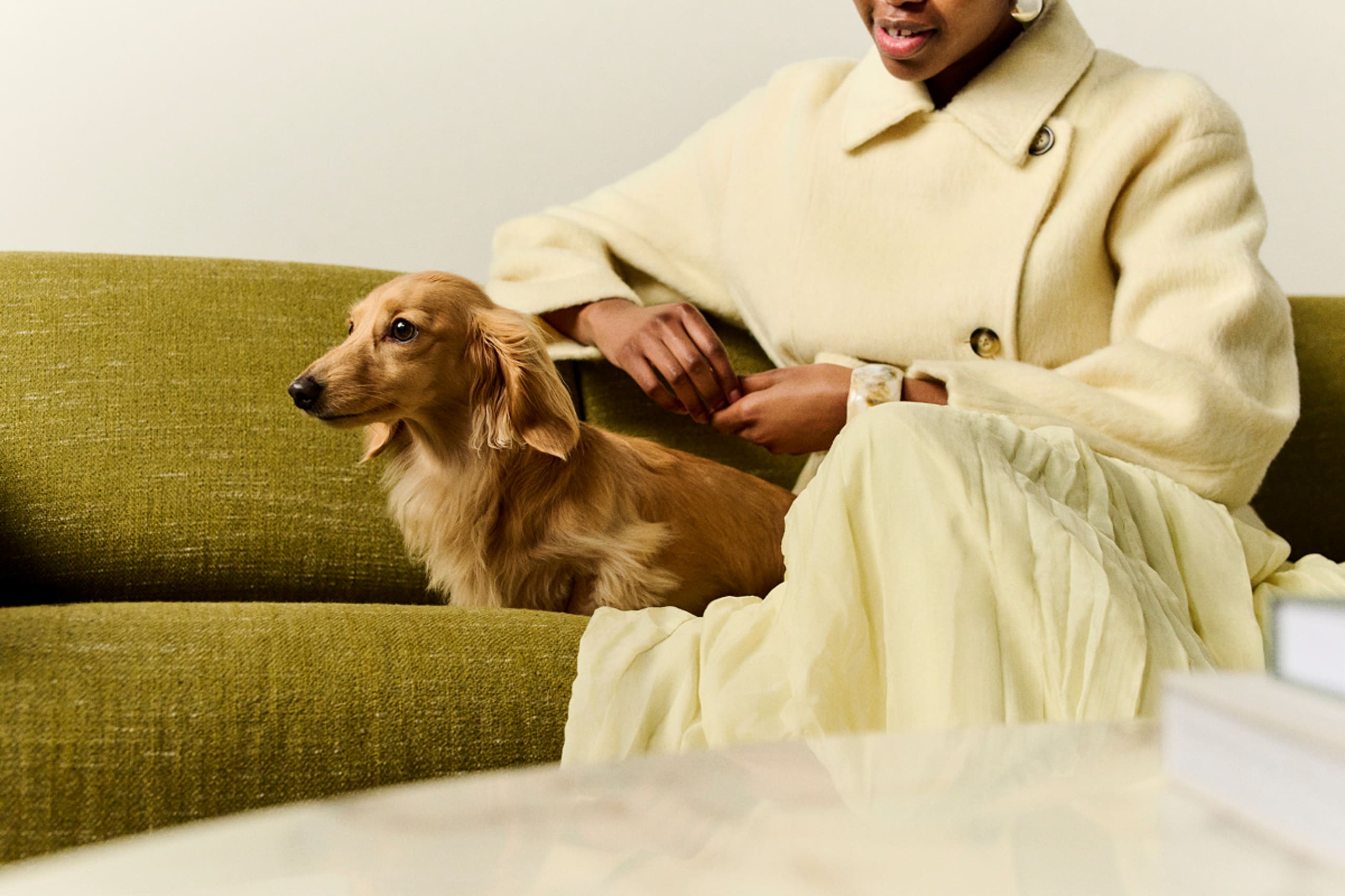 Dog sitting on a sofa next to a woman