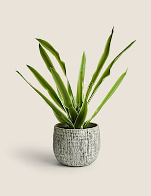 Artificial Natural Lily in Textured Pot