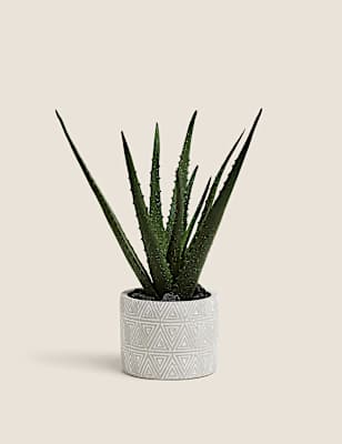 Artificial Aloe Plant in Pot
