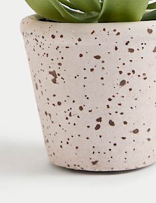 Artificial Succulent in Ceramic Pot