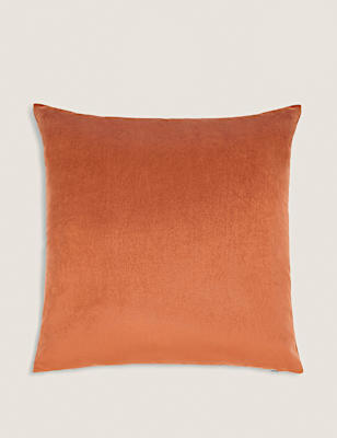 Velvet Cushion