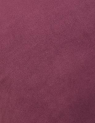 Velvet Cushion