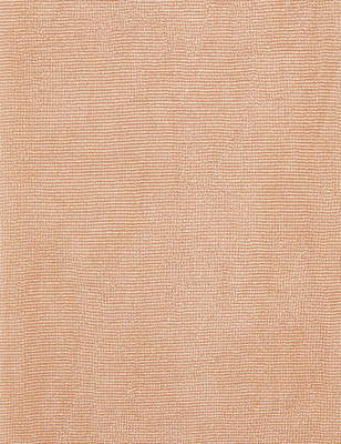 3pk 15 Denier Body Shaping Tights