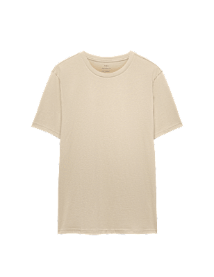 Regular Fit Pure Cotton Crew Neck T-Shirt