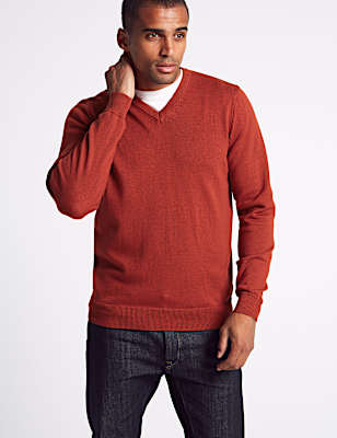 Pure Cotton V-Neck Jumper
