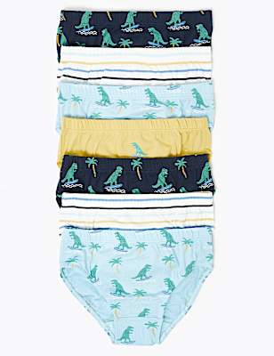 7 Pack Dinosaur Print Briefs (2-7 Yrs)