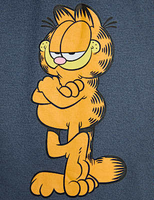 Pure Cotton Garfield&trade; Pyjamas (6-16 Yrs)