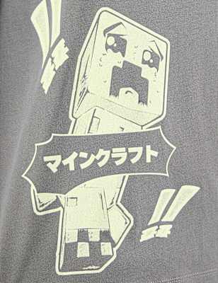 Pure Cotton Minecraft™ Ombre T-Shirt (6-16yrs)