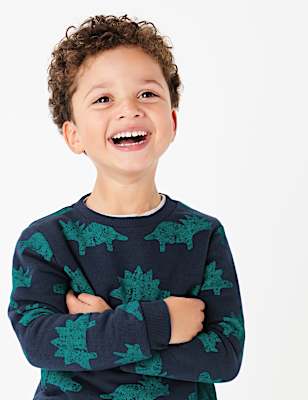 Cotton Dinosaur Sweatshirt (3 Mths - 7 Yrs)