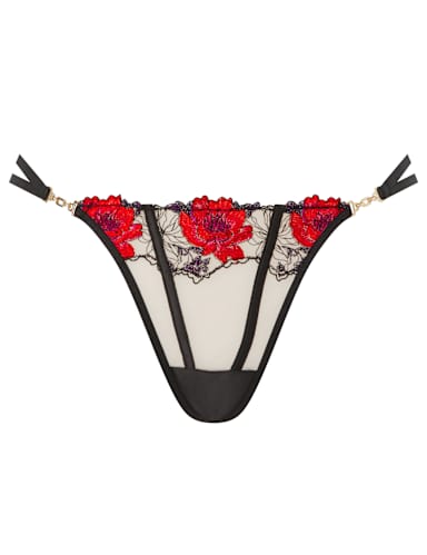Sheer Embroidered Thong.