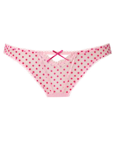 Polka Dot Embroidered Mesh Brazilian Knickers.