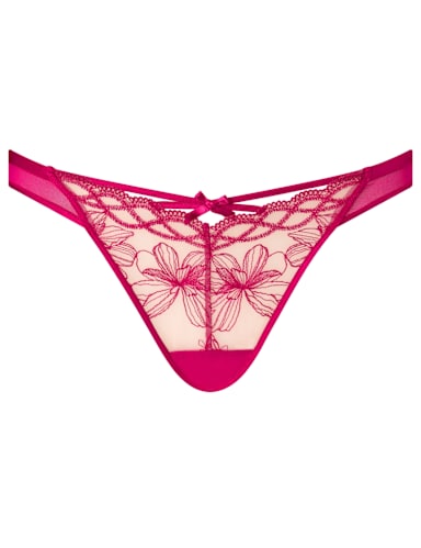 Embroidered Mesh Brazilian Knickers.