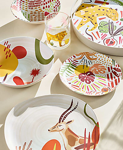 Patterened Picnicware Plates and Bowls for Summer M S US