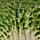 Cabbage Medium Serving Bowl, FOREST GREEN, swatch