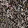 Set of 2 Beaded Scallop Placemats, CHARCOAL, swatch
