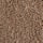 Set of 2 Egyptian Cotton Towels, MOCHA, swatch