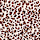 Cotton Modal Printed Relaxed Nightie, BROWN MIX, swatch