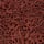 2 Pack Ida Lace High Waisted High Leg Knickers, RUSSET, swatch