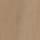 Zamszowa kurtka Harrington, TOFFEE, swatch