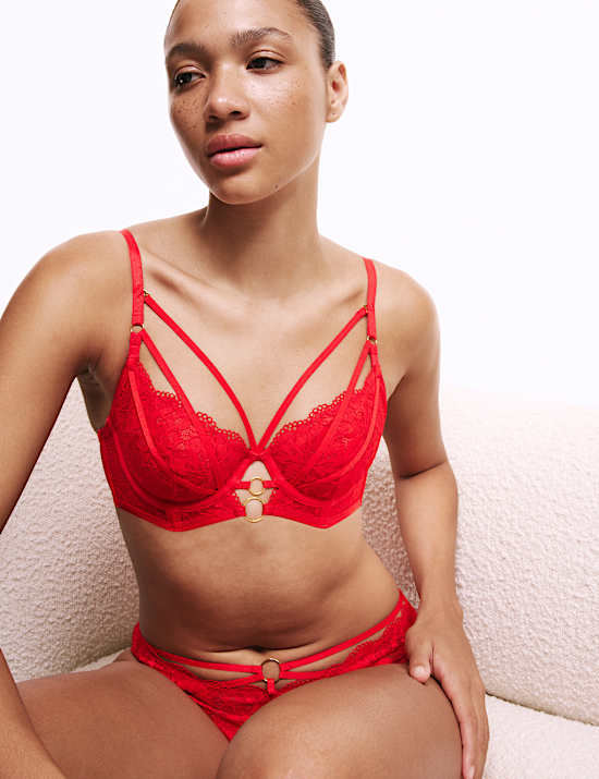 Vera Lace Wired Longline Balcony Bra Set A-E