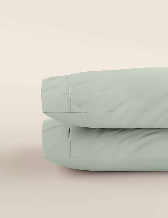 2 Pack Egyptian Cotton 230 Thread Count Pillowcases