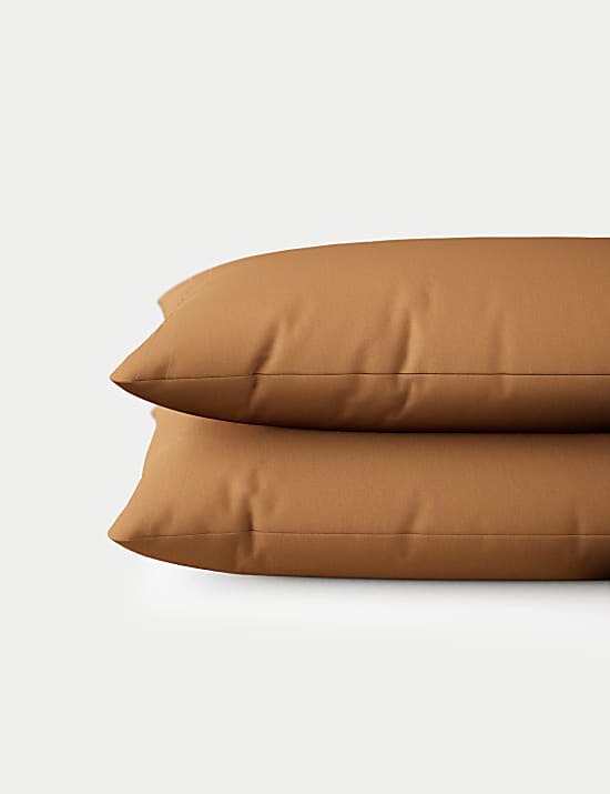 2 Pack Cotton Rich Pillowcases
