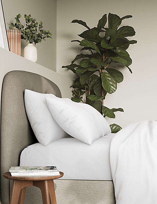 2 Pack Pure Cotton 300 Thread Count Pillowcases