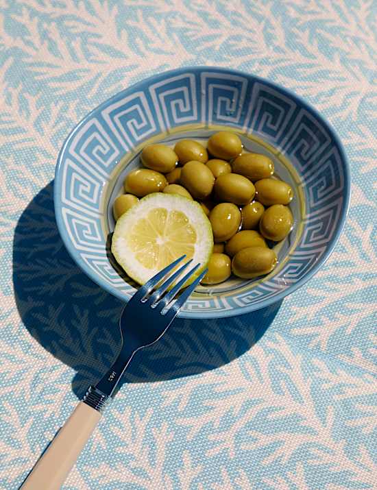 Set of 4 Coastal Picnic Cereal Bowls