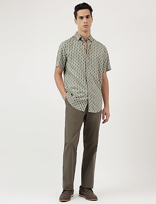 Regular Fit Pure Cotton  Plain Chinos