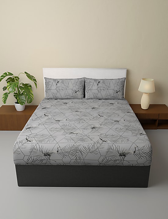 Pure Cotton Printed Bedsheet Set