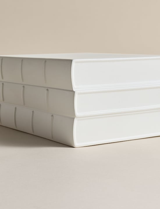 Ceramic Books Ornament