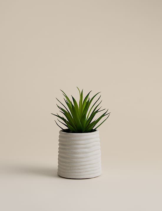 Mini plante a&eacute;ophile artificielle dans un pot en c&eacute;ramique