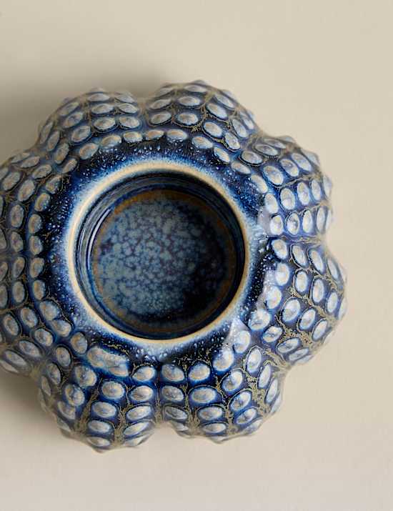 Coastal Shell Tealight Holder