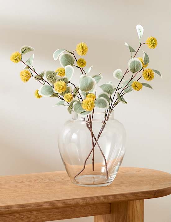 Set van 3 enkele eucalyptus-Erytrocorys-stengels