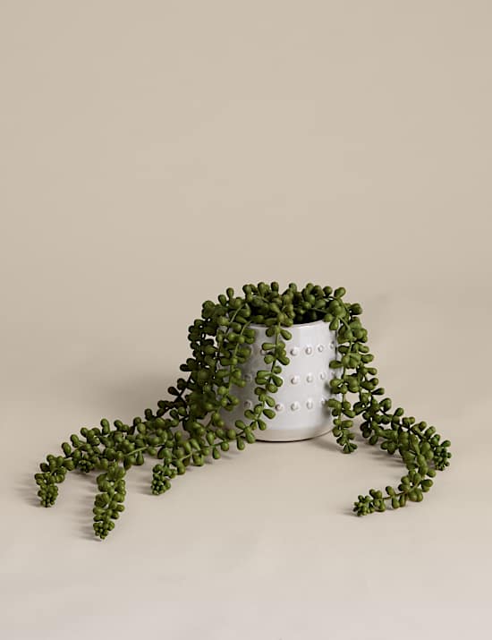 Artificial String of Pearls in Ceramic Pot