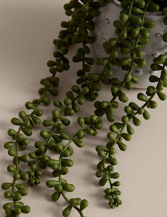 Artificial String of Pearls in Ceramic Pot