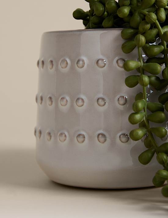 Artificial String of Pearls in Ceramic Pot